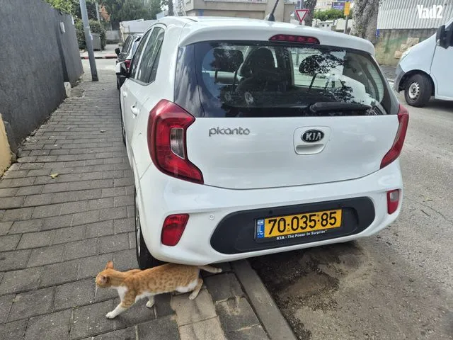 קיה PICANTO 2017 - תמונה 1 מתוך מודעת מכירה של הרכב הזה
