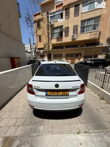 סקודה OCTAVIA 2020 - תמונה 1 מתוך מודעת מכירה של הרכב הזה